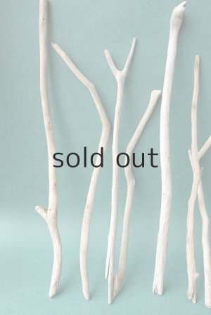 画像2: 小枝流木セット