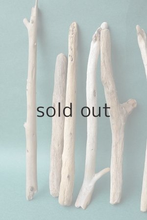 画像2: 小枝流木セット