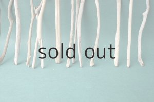 画像6: 小枝流木セット