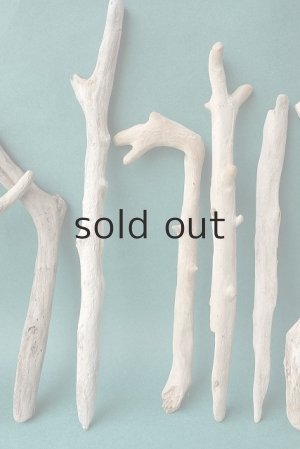 画像4: 小枝流木セット