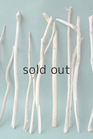 画像3: 小枝流木セット