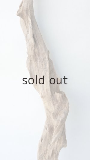 画像3: 変形流木