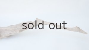 画像6: 変形流木