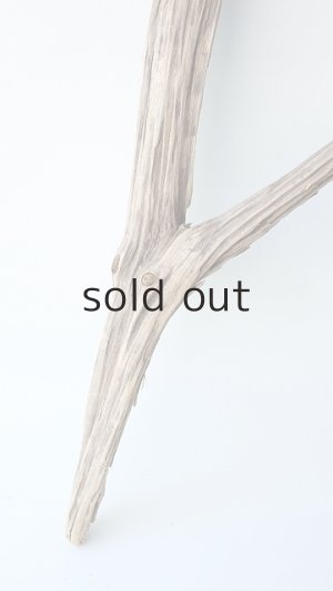 画像2: 変形流木