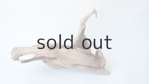 画像7: 変形流木