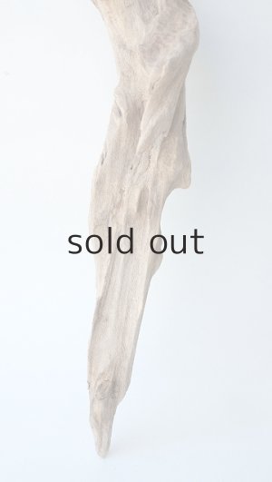 画像2: 変形流木