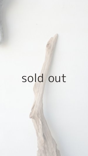 画像4: 変形流木