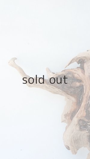 画像4: 変形流木