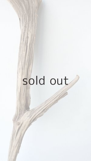 画像3: 変形流木