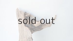 画像3: 変形流木