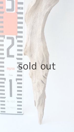 画像8: 変形流木