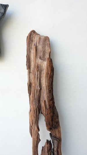 画像4: 変形流木