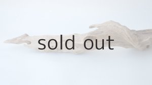 画像5: 変形流木