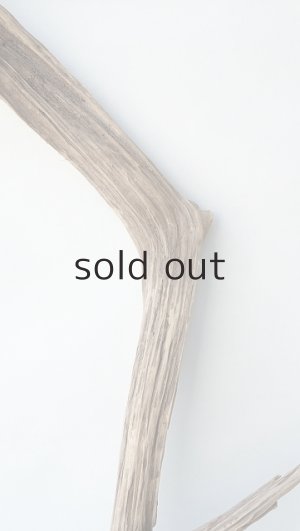 画像4: 変形流木