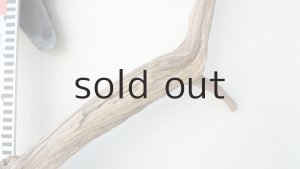 画像7: 変形流木