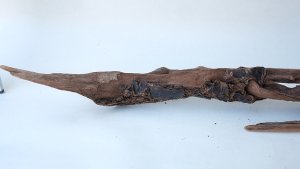 画像5: 変形流木