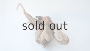 画像6: 変形流木