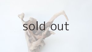 画像8: 変形流木