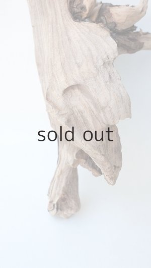 画像2: 変形流木