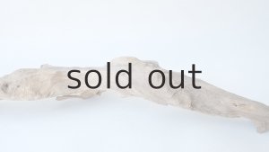 画像7: 変形流木