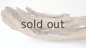 画像8: 変形流木