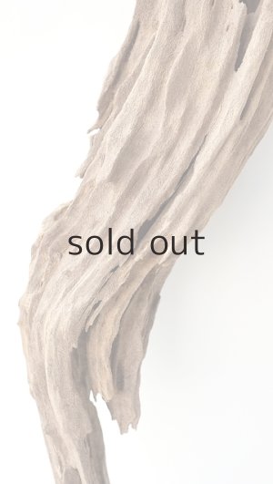 画像3: 変形流木