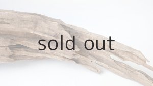 画像11: 変形流木