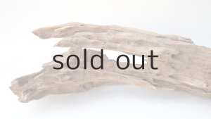 画像6: 変形流木