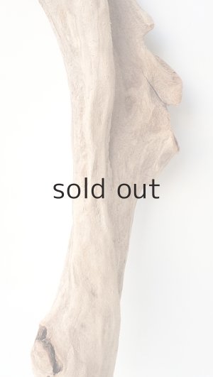 画像3: 変形流木