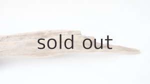 画像7: 変形流木