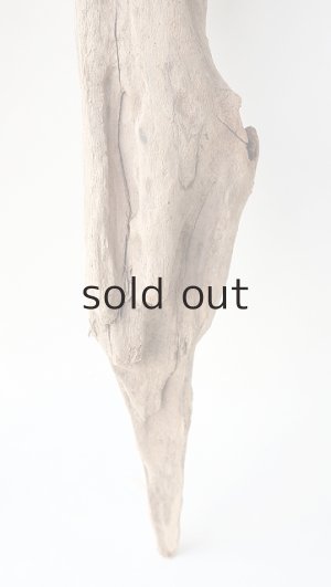 画像5: 変形流木