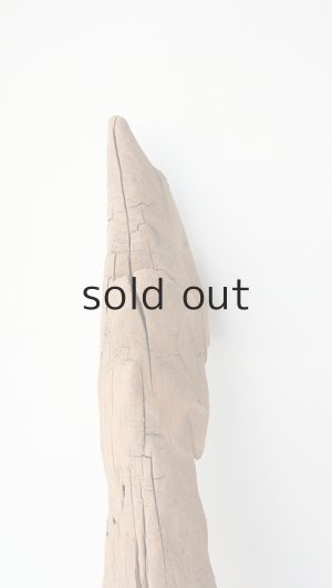 画像3: 変形流木