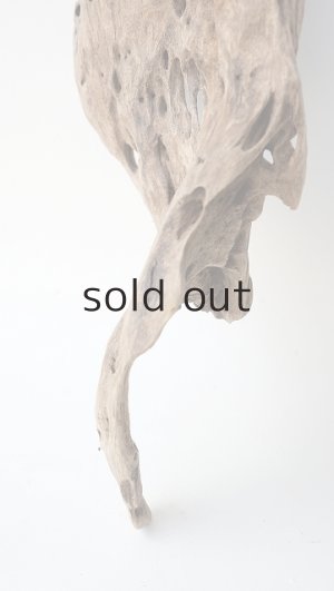 画像2: 変形流木