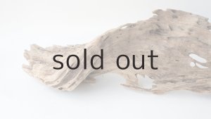 画像6: 変形流木