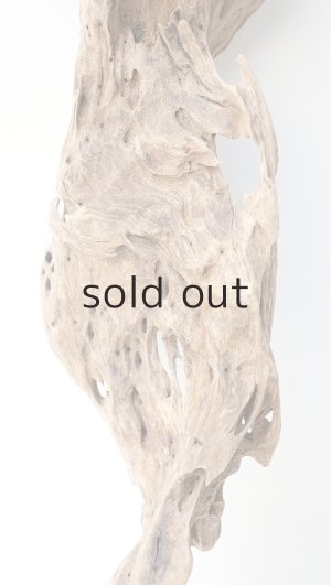 画像3: 変形流木