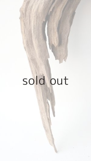 画像2: 変形流木