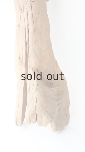 画像2: 変形流木