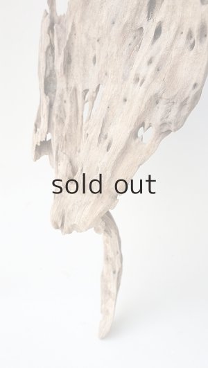 画像5: 変形流木