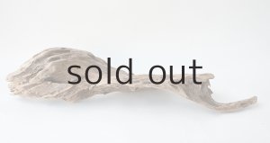 画像8: 変形流木