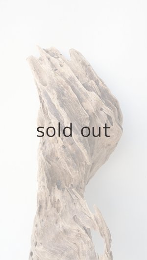 画像4: 変形流木