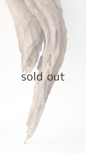 画像5: 変形流木