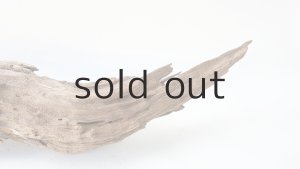 画像7: 変形流木