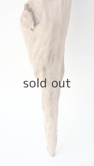 画像2: 変形流木