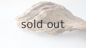 画像9: 変形流木