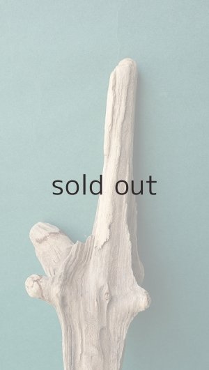 画像3: 変形流木
