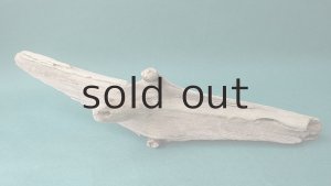 画像6: 変形流木