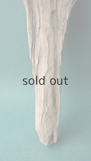 画像2: 変形流木