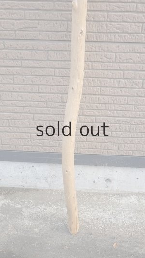 画像2: 棒流木・長尺