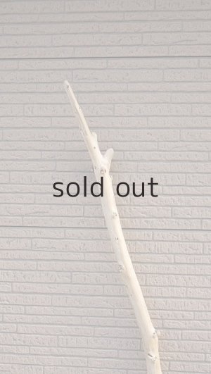 画像4: 棒流木・長尺