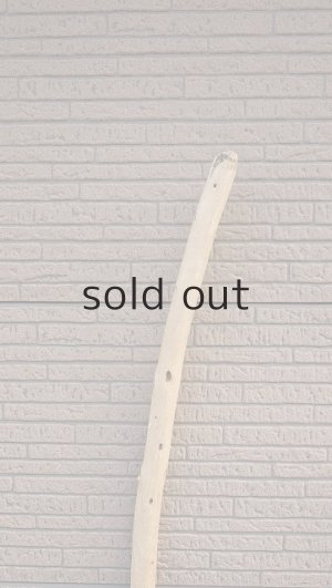 画像4: 棒流木・長尺